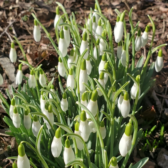 Welcome To My Closet - Picture 8 of 16